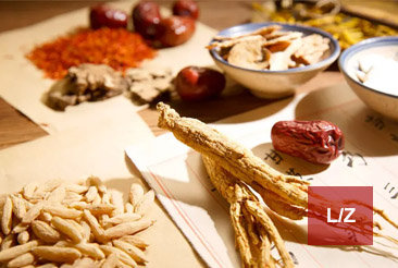 Materia Medica Ziół Chińskich – grupa Lz – 2025-2028